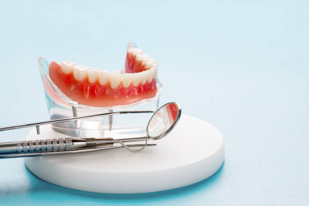 Why Choose Us for Your Dental Needs in Lakeland, FL